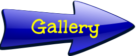 Little Gems Logo
